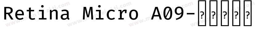 Retina Micro A09字体转换